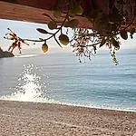 Potami Seashell