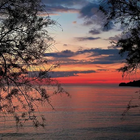 Potami Seashell ホテル ヒマラ