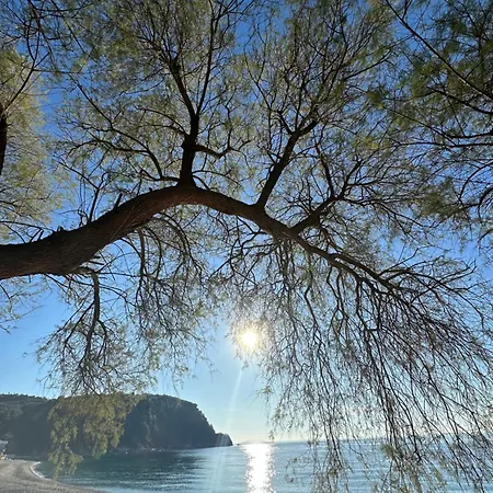 Potami Seashell * Himarë