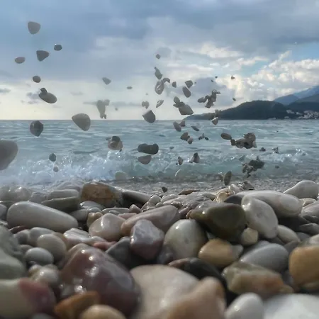 فندق Potami Seashell