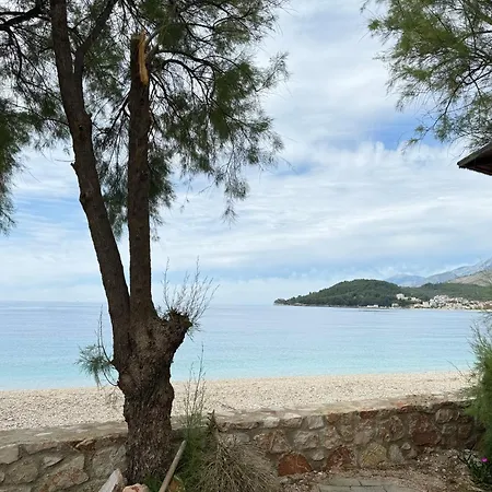 Potami Seashell Himarë