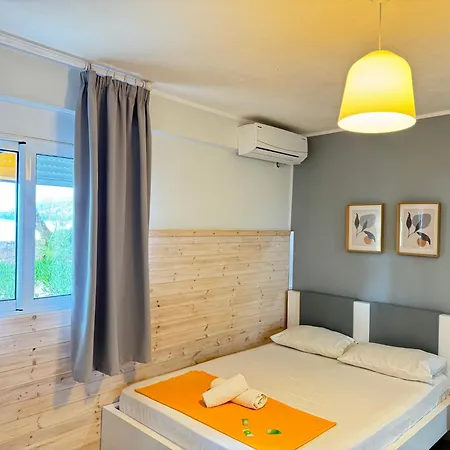 Potami Seashell ヒマラ