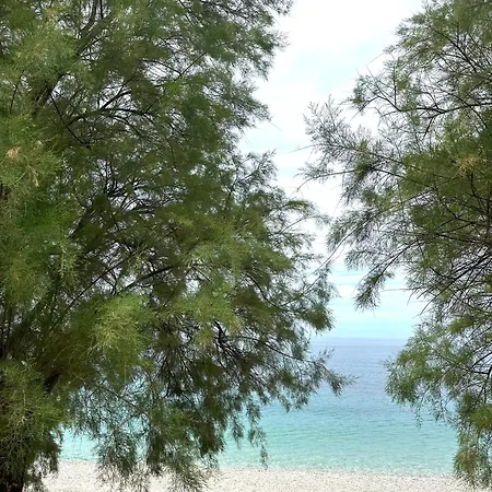 Potami Seashell ホテル *