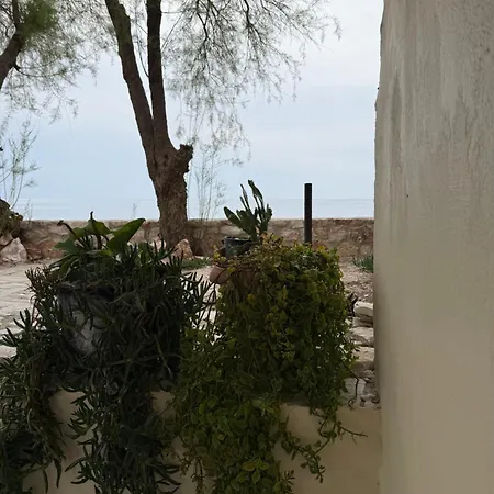 Potami Seashell Otel *