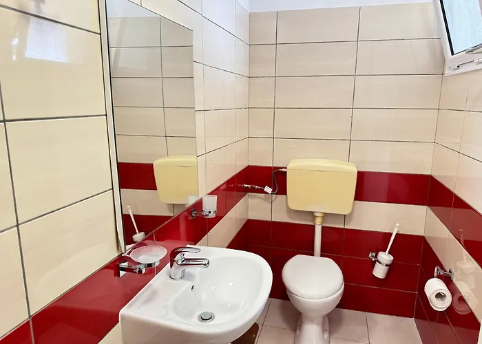 Potami Seashell * Himara