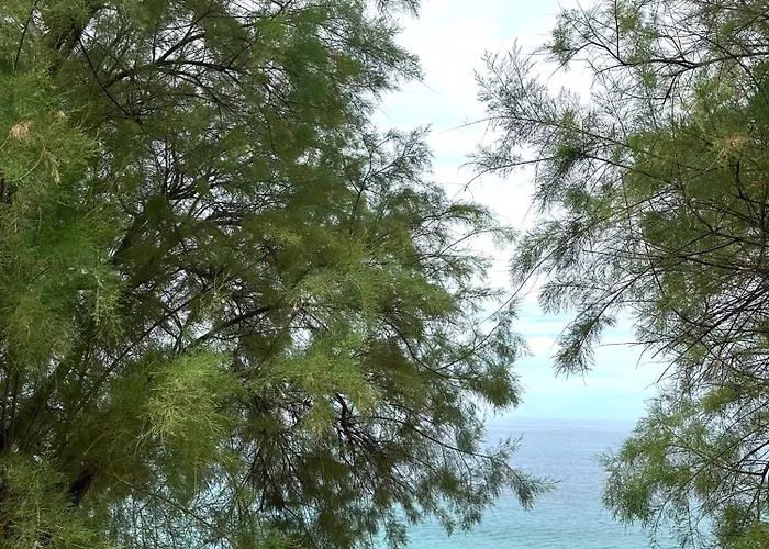 Potami Seashell Hotel *