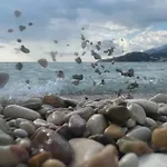 Hotel Potami Seashell