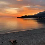 Potami Seashell
