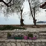 Potami Seashell *