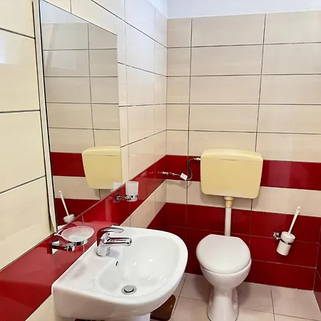 Potami Seashell * 希马拉