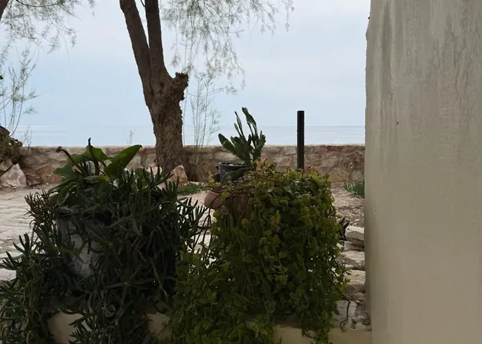 Potami Seashell Hotel *